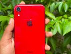 Apple iPhone XR (Used)
