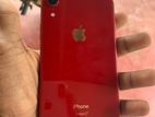 Apple iPhone XR (Used)