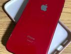 Apple iPhone XR red (Used)