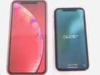Apple iPhone XR (Used)