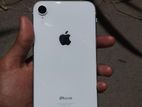 Apple iPhone XR (Used)