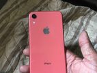 Apple iPhone XR (Used)