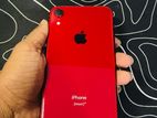 Apple iPhone XR (Used)