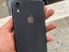 Apple iPhone XR (Used)