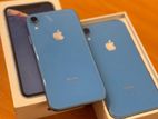 Apple iPhone XR (Used)