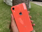 Apple iPhone XR (Used)