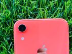 Apple iPhone XR (Used)