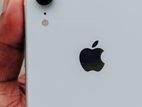 Apple iPhone XR (Used)