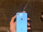Apple iPhone XR (Used)