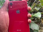 Apple iPhone XR (Used)