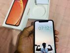 Apple iPhone XR (Used)