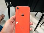 Apple iPhone XR (Used)