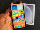 Apple iPhone XR (Used)