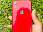 Apple iPhone XR (Used)