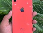 Apple iPhone XR (Used)