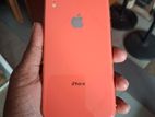 Apple iPhone XR (Used)