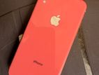 Apple iPhone XR (Used)