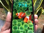 Apple iPhone XR (Used)