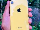 Apple iPhone XR (Used)