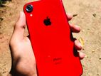 Apple iPhone XR (Used)