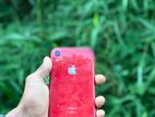 Apple iPhone XR (Used)