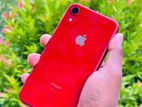 Apple iPhone XR (Used)