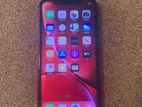 Apple iPhone XR (Used)