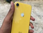 Apple iPhone XR (Used)