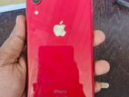 Apple iPhone XR (Used)