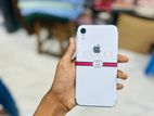 Apple iPhone XR (Used)