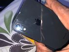 Apple iPhone XR (Used)