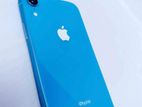 Apple iPhone XR (Used)