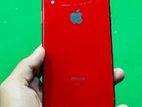 Apple iPhone XR (Used)