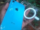 Apple iPhone XR (Used)