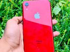 Apple iPhone XR (Used)