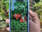 Apple iPhone XR (Used)