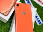 Apple iPhone XR (Used)