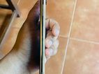 Apple iPhone XS 256 GOLD (Used)