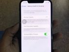 Apple iPhone XS 256GB (Used)