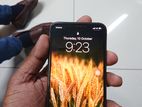 Apple iPhone XS 256GB (Used)