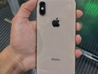 Apple iPhone XS 256GB (Used)