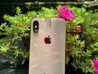 Apple iPhone XS 256GB (Used)