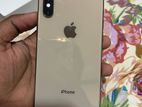 Apple iPhone XS 256GB (Used)