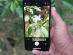 Apple iPhone XS 256gb (Used)