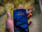 Apple iPhone XS Max 256GB (Used)