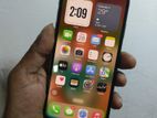 Apple iPhone XS Max 256GB (Used)