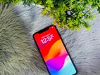 Apple iPhone XS Max 256GB (Used)