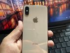 Apple iPhone XS 256GB (Used)