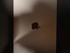 Apple Mackbook Air M3 with Magic Mouse