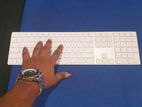 Apple magic keyboard & mouse